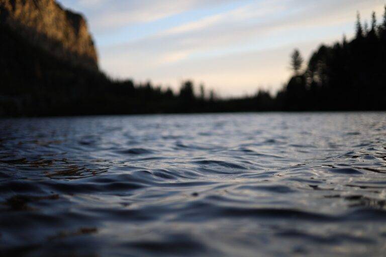 Exploring the World’s Coral Reefs: Snorkeling and Diving in Marine Biodiversity Hotspots