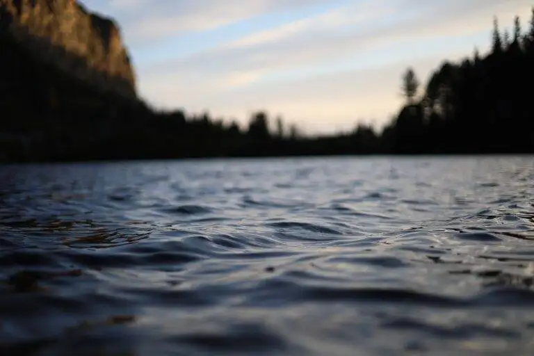 Exploring the World’s Coral Reefs: Snorkeling and Diving in Marine Biodiversity Hotspots